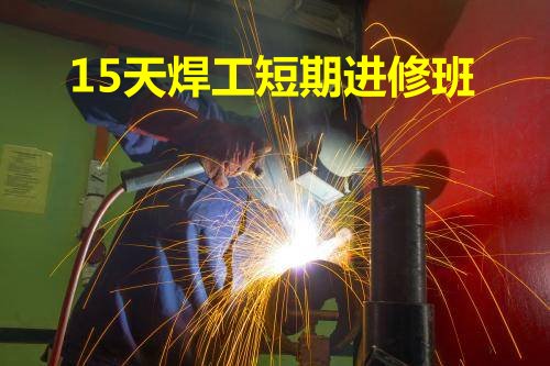 15����ں�����Ӗ(x��n)